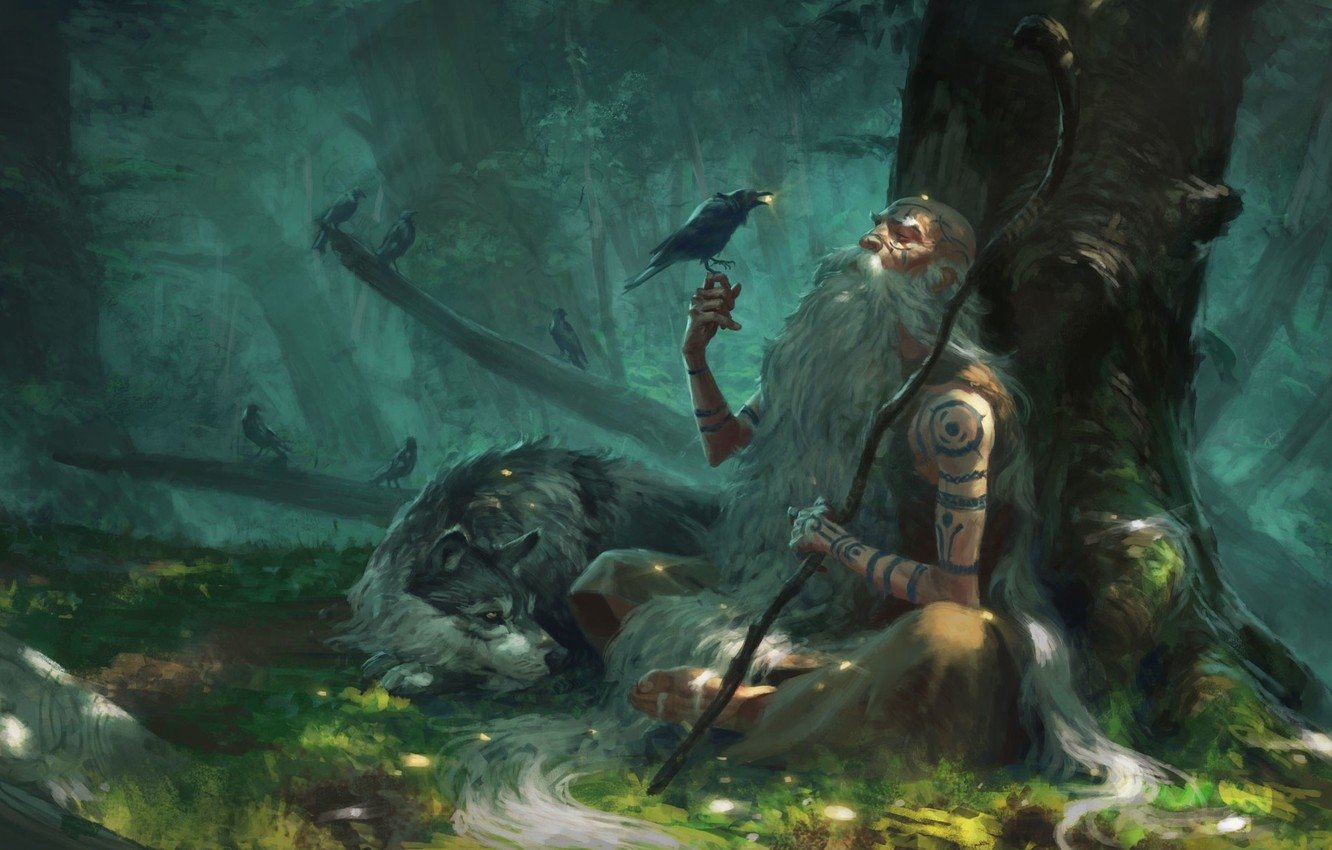 1638344309_24-gamerwall-pro-p-druid-voin-art-krasivie-oboi-27.jpg