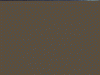 49859316.gif