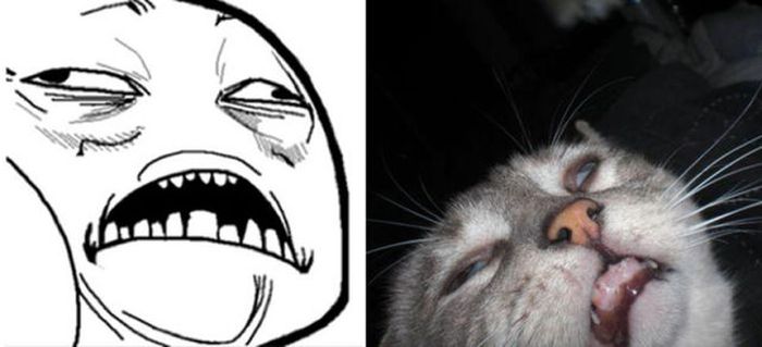 rage_faces_04.jpg