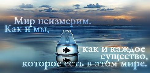 citata-48.jpg