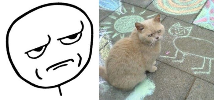 rage_faces_08.jpg