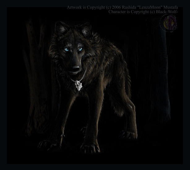 From_Shadow___BlackWolf_Gift_by_lenzamoon.jpg