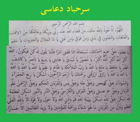 датский дог зевс. догалар картинки. салават на татарском языке. дога русский язык. дога русский язык.