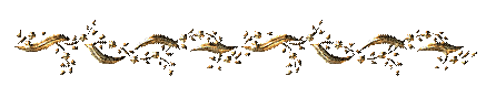 89213671_65159066_3f5e0037ceeb.gif