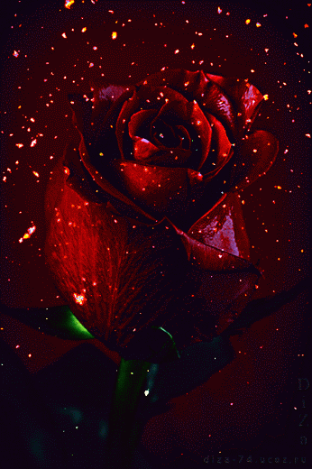 1f138cb7287de590be3c346059a93ea1.gif