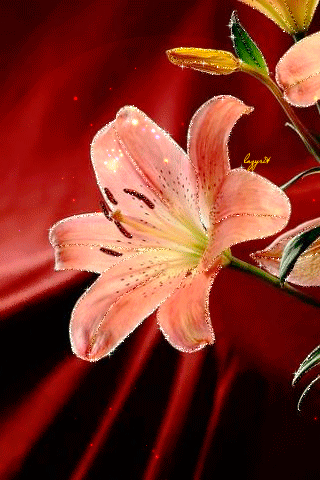 c8f803025f5e5219b755a4821d80a61b.gif