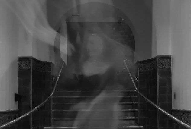 rXf3mBfNZqo.jpg