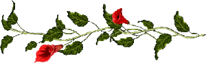 0_a6fd7_9b40eb4_M.gif