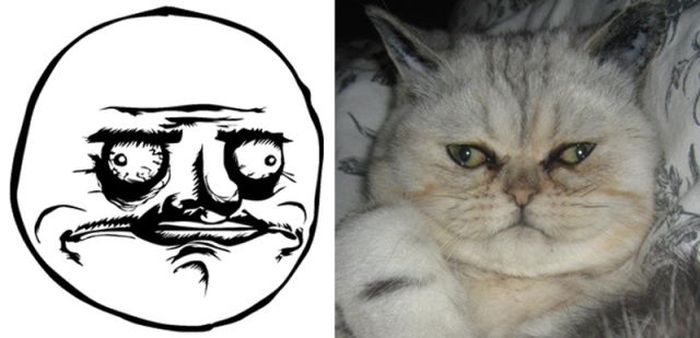 rage_faces_05.jpg