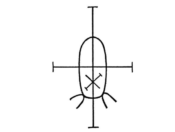 Q2K5Ic2SGLM.jpg