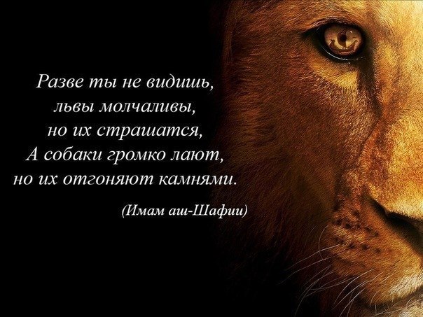 han9_kNs-q0.jpg