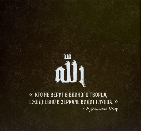 8BKjG4IuUyU.jpg