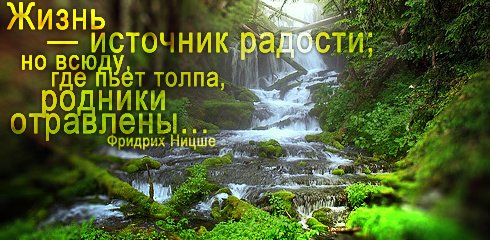1204557770_28.01.08.jpg