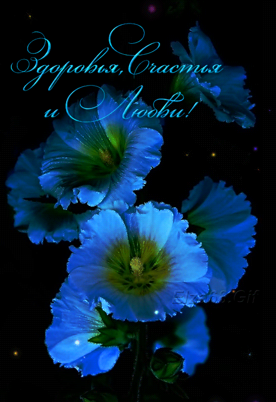 0_1c77f1_aa22512c_orig