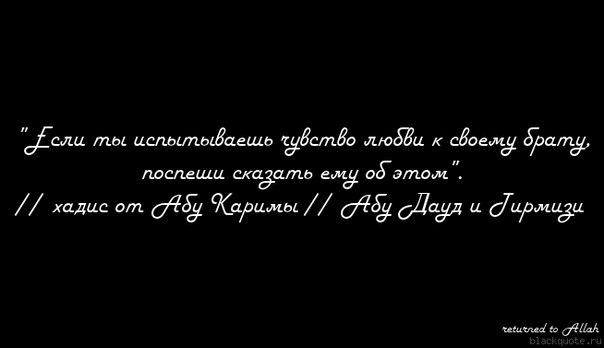 7QBjuis9390.jpg