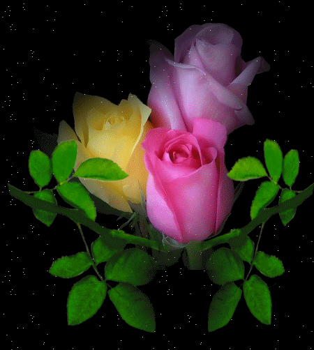 7bbd84f9abe773cd4635a1d984300218.gif