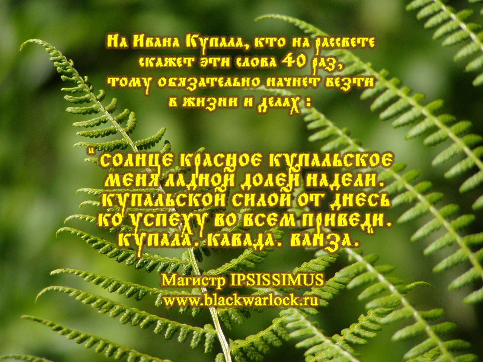 Приворот на купалу. С днем Ивана Купала поздравления. С днем Ивана Купалы открытки. Поздравления с днём Ивана Купала открытки. С праздником Ивана Купала поздравление.
