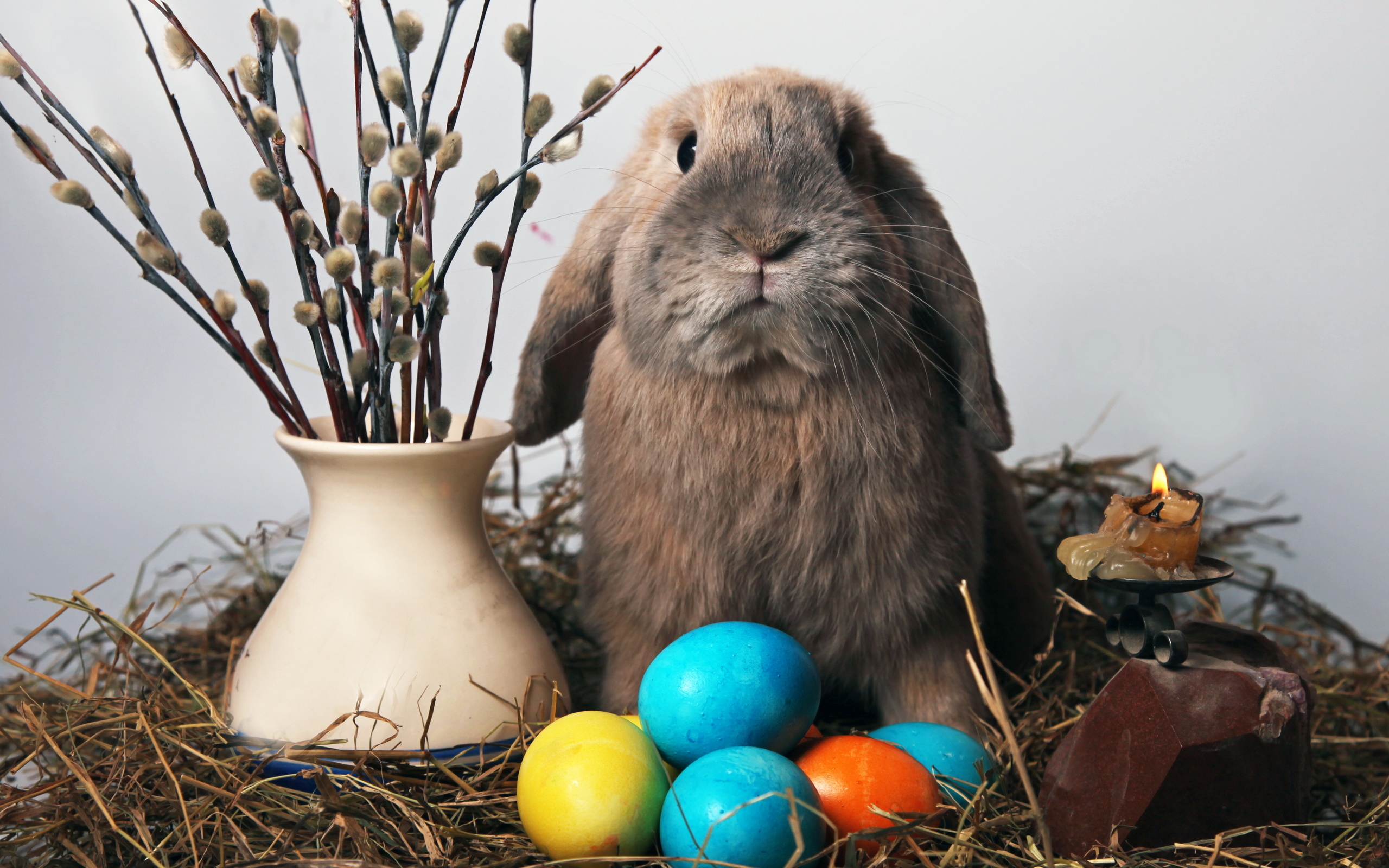 Holidays_Easter_Peaster_rabbit_020816_.jpg