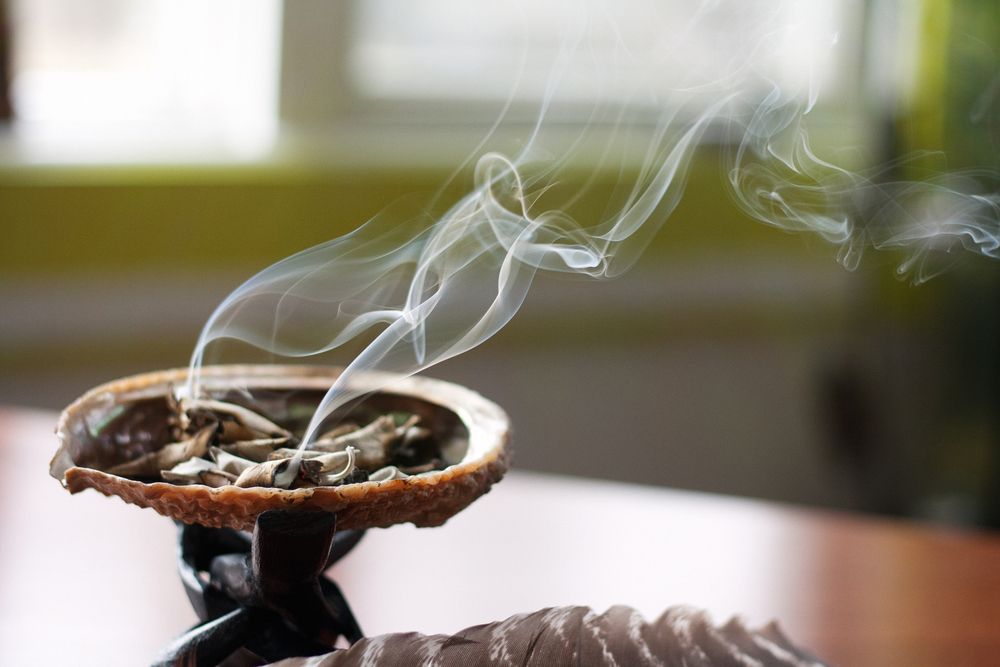 smudging-herbs-in-a-shell.jpg